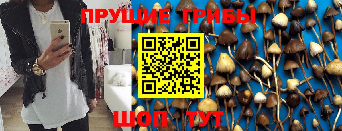 Псилоцибиновые грибы мицелий  Галлюциногенные грибы мицелий  как найти наркотики  Добрянка  Вход с VPN 